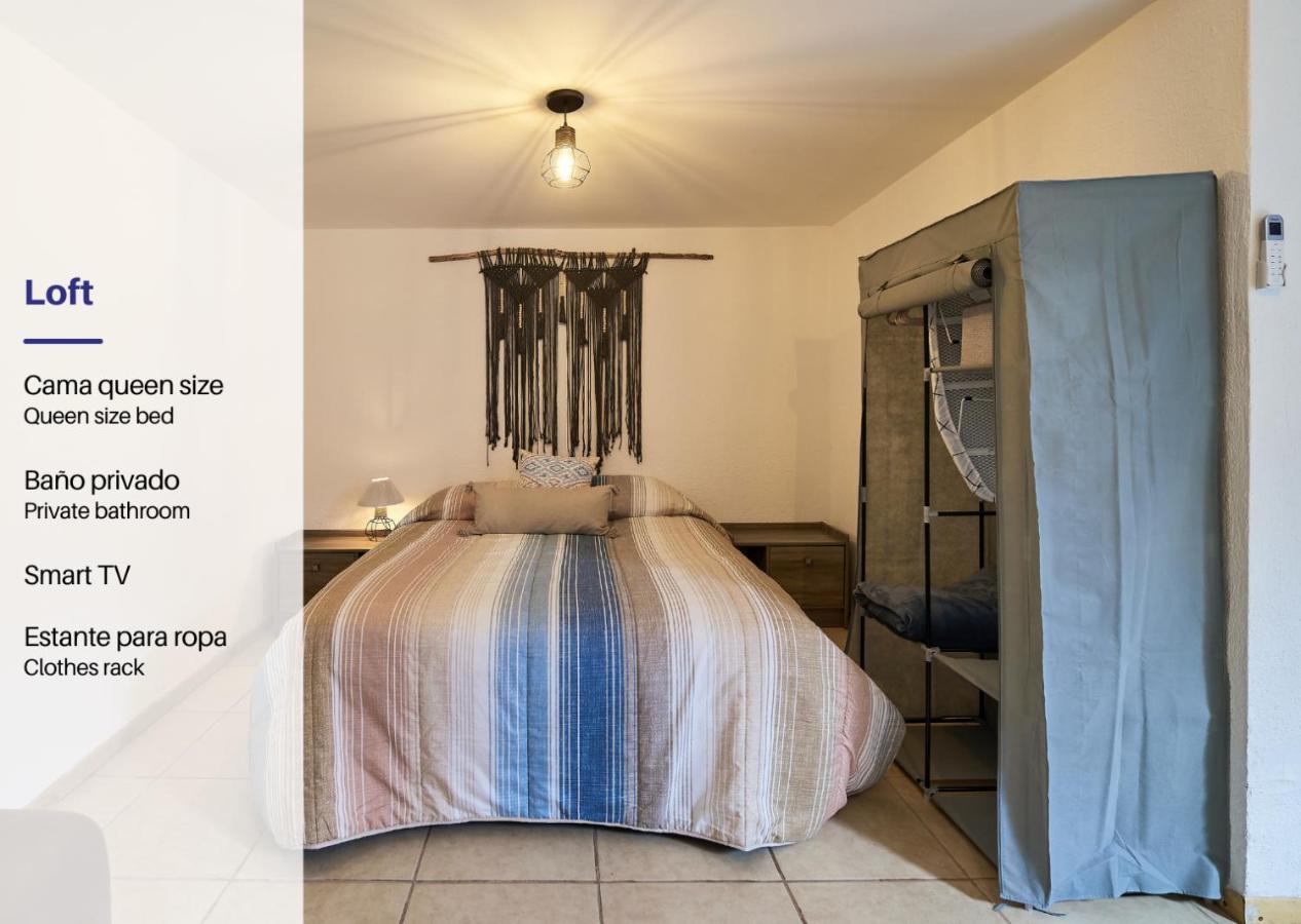Cozy Studio In Roma Norte Мехіко Екстер'єр фото